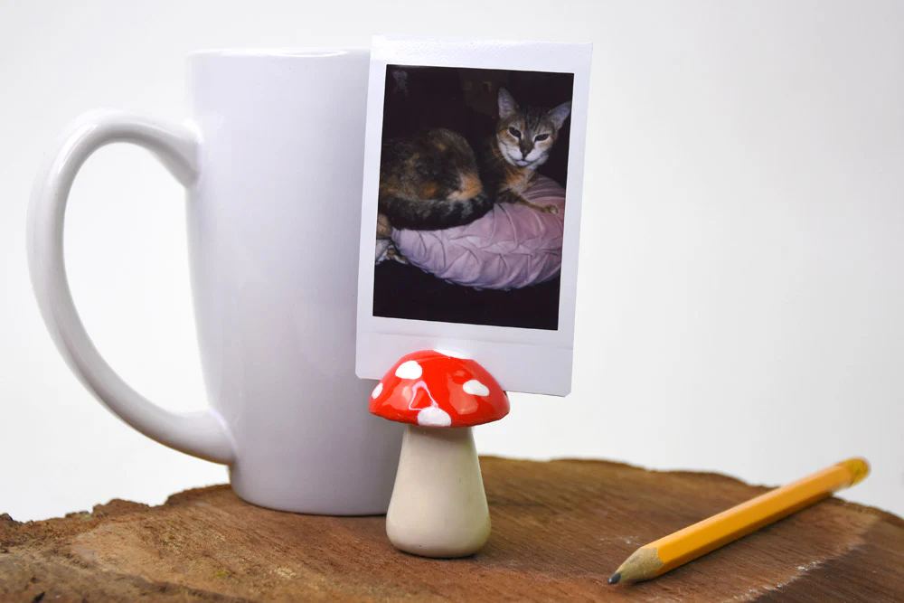Sculpey Air-Dry™ Terra Cotta Mushroom Photo Holder