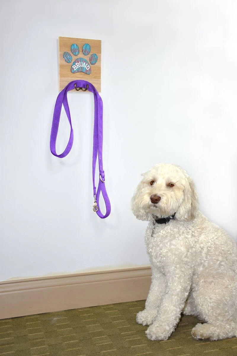 Sculpey III® Dog Walk Leash Holder