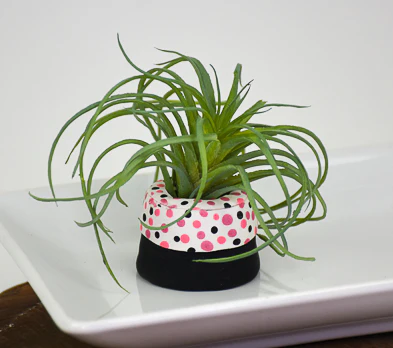 Sculpey III® Mini Succulent Pinch Pots